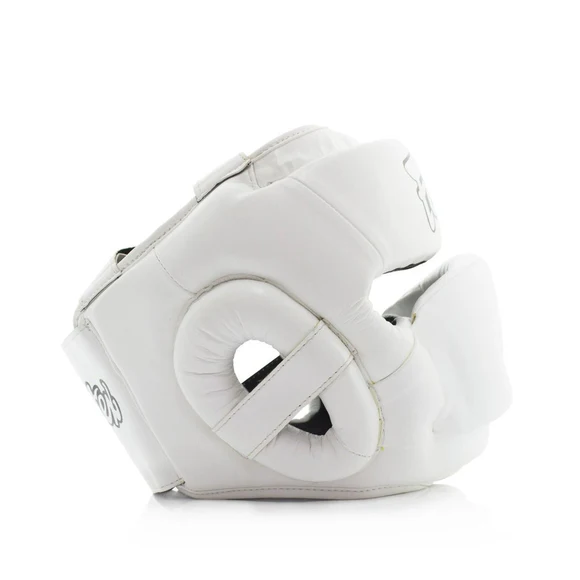Full Face Protector Headguard